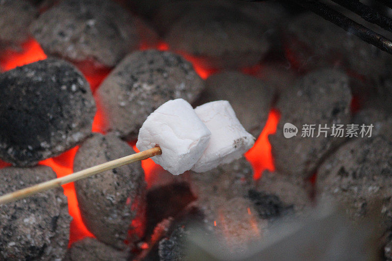 棉花糖在火上烤/烧烤，烤棉花糖